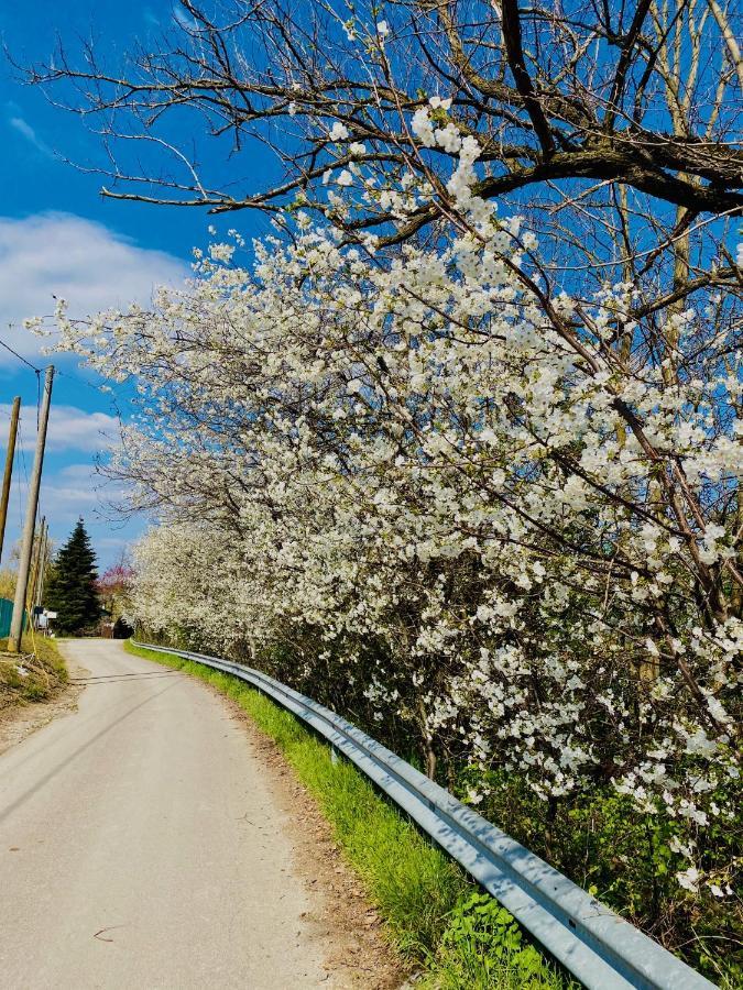 B&B Nido Sui Laghi San Donnino della Nizzola Luaran gambar